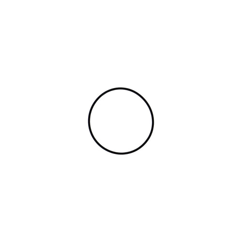 106258 - O-Ring - PURspray