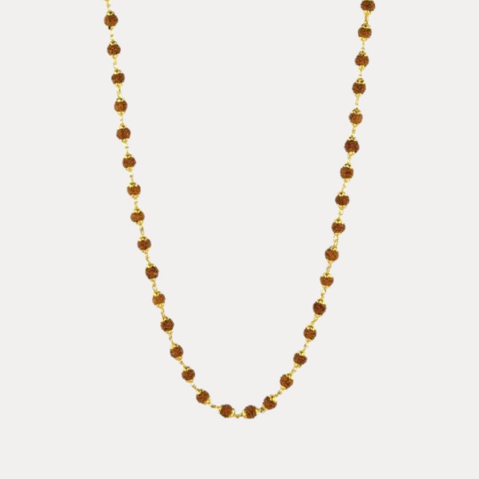 108 Rudraksha with Silver Plated Caps Necklace