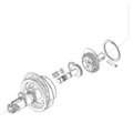 2005697 - O-Ring (5 Pack)