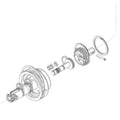 2005698 - O-Ring (5 Pack)