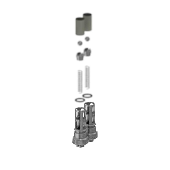 256462 - Hose Manifold Check Valves Kit - PURspray