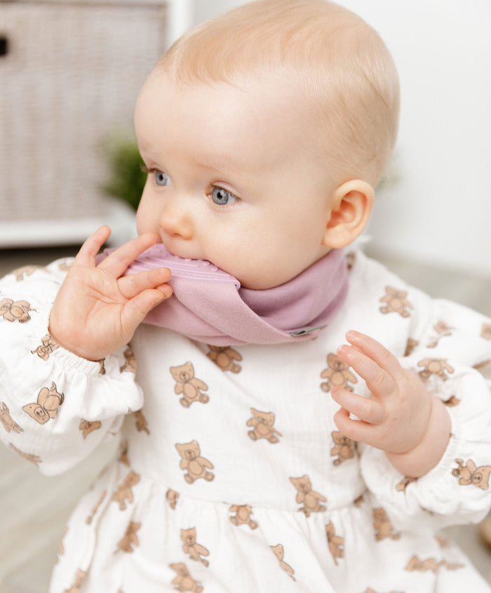 Cheeky Chompers Teethers Cheeky Chompers Neckerchew - Dusky Pink