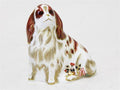 King Charles Spaniel