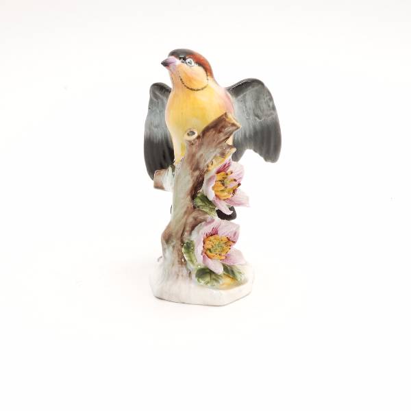 Royal Adderley Chaffinch