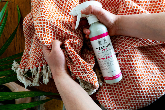 Stain Remover 350ml
