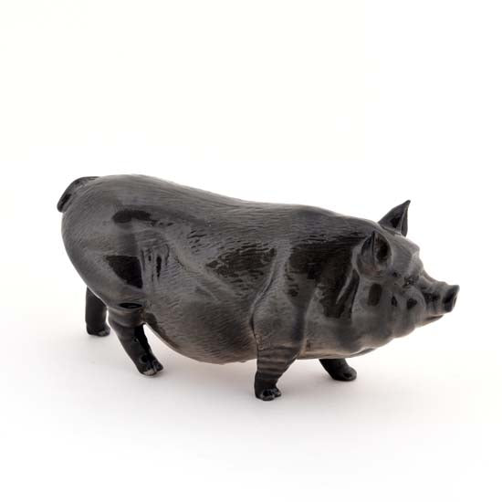 Vietnamese Pig